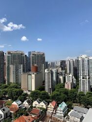 Residences @ Evelyn (D11), Condominium #638601461